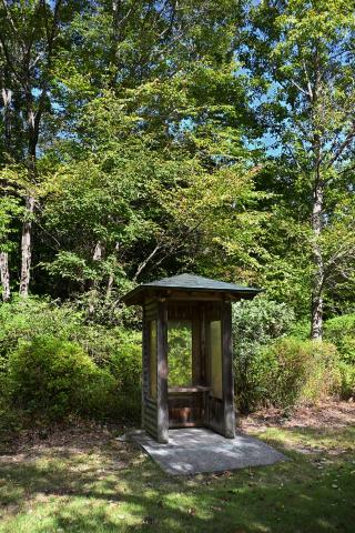 新品)Nikon (ニコン) Z50II 16-50 VR レンズキット（商品ID