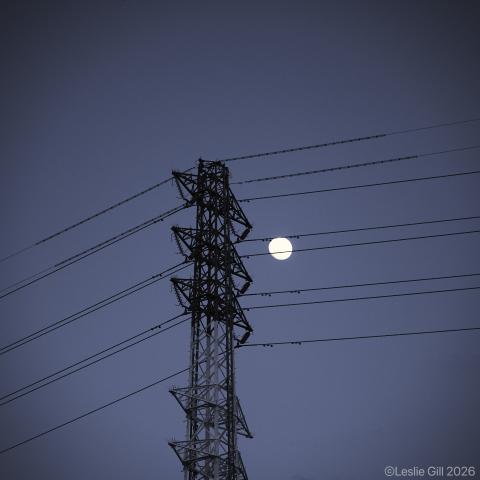 新品)Nikon (ニコン) Z5II 24-200 レンズキット（商品ID