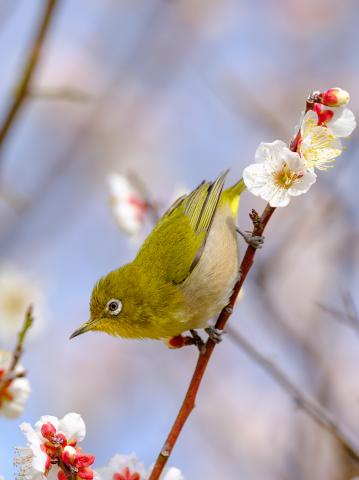 TAMRON SP 150-600mm F/5-6.3 キヤノン用 超望遠レンズ タムロンSP150-600mm F5-6.3 Di VC USD G2キヤノン用 TAMRON SP