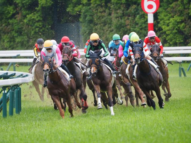 新品)OM SYSTEM（オーエムシステム） M.ZUIKO DIGITAL ED 100-400mm F5