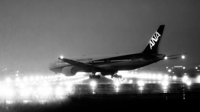 [美品]SONY α DT 18-250mm F3.5-6.3 レンズ 新品)Nikon (ニコン) Z50II ダブルズームキット（商品ID