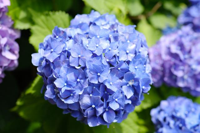 新品)SIGMA (シグマ) Contemporary 30mm F1.4 DC DN (フジ 新品)SIGMA (シグマ) Contemporary 30mm F1.4 DC DN (フジ