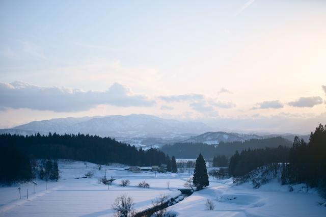 新品)Nikon (ニコン) Z50II 16-50 VR レンズキット（商品ID