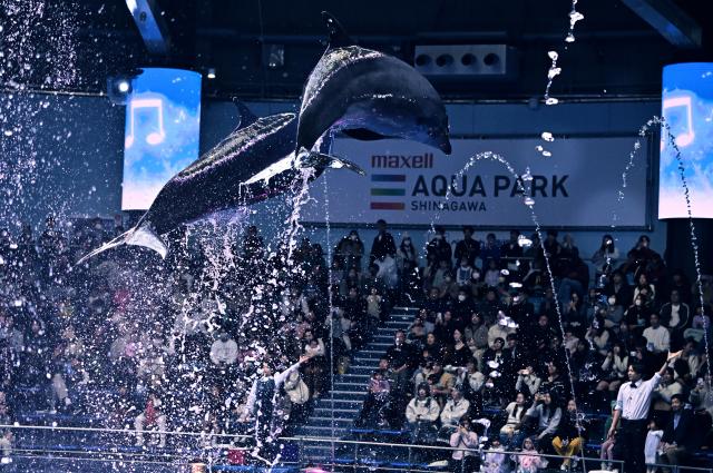 新品)TAMRON (タムロン) 70-300mm F4.5-6.3 Di III RXD/Model A047Z