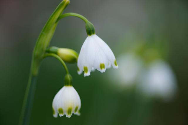 都市を舞う Everybody Photographer Com