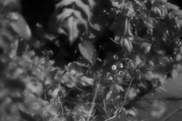 フルセット!完動品＊美品＊pentax spf&f1.4★作例多数★初期保証 得価，定番人気 ◇動作品◇ PENTAX ペンタックス Super-Takumar 50mm