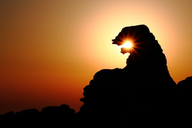 新品)SIGMA (シグマ) Contemporary 18-50mm F2.8 DC DN (キヤノンRF