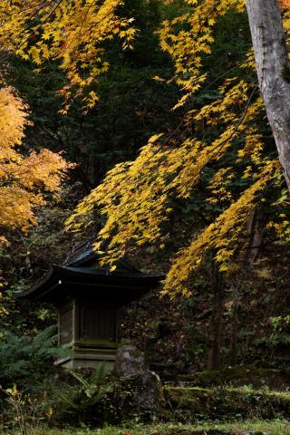新品)Leica (ライカ) SL2 ズミクロン SL50mm F2 ASPH. セット シルバー