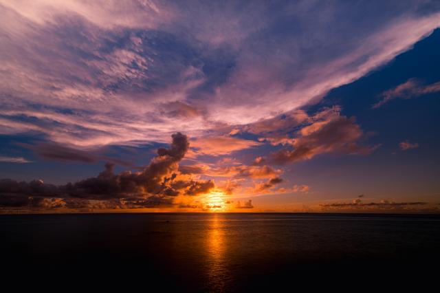 新品)Carl Zeiss (カールツァイス) Milvus 15mm F2.8 ZE（キヤノンEF用