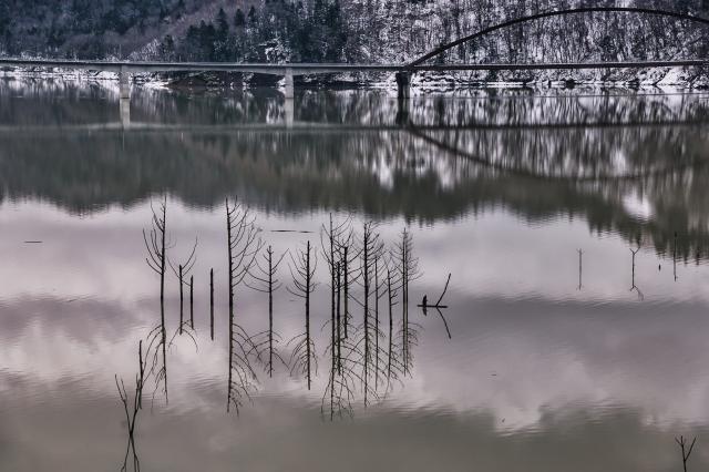 新品)SIGMA (シグマ) Contemporary 20-200mm F3.5-6.3 DG (ライカSL/TL