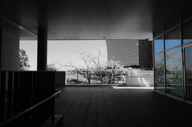 新品)FUJIFILM (フジフイルム) X-T5 XF16-50mmレンズキット