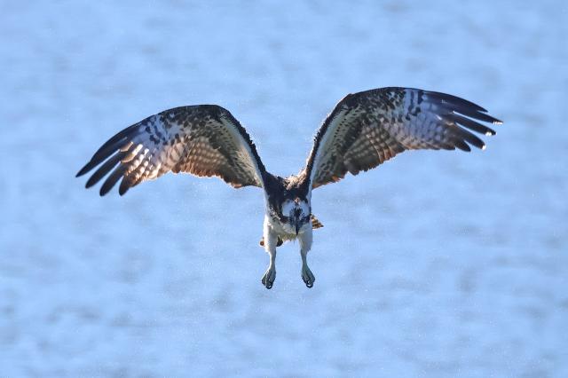 SONY FE 28-70mm F3.5-5.6 レンズ 新品)Canon (キヤノン) EOS R10 RF-S18-150 IS STM レンズキット