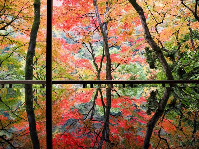 九谷焼　富士山　鶴仙人　覗 500系東海道 山陽新幹線（のぞみ） 基本＆増結セット | TOMIX