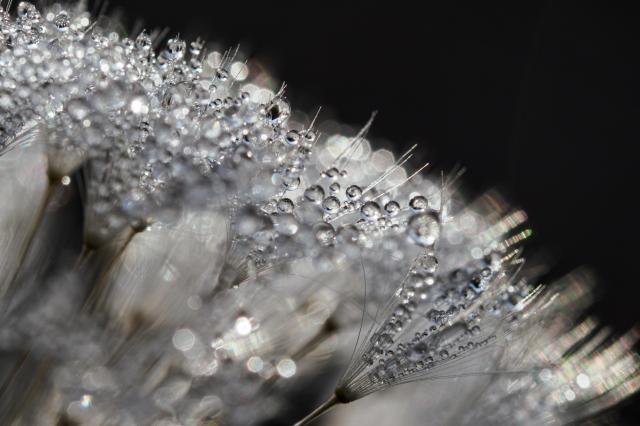 新品)OM SYSTEM（オーエムシステム） OM-1 Mark II 100-400mm II 超