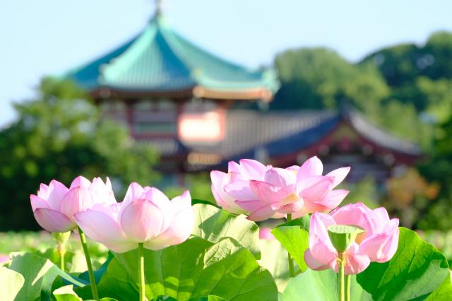 新品)FUJIFILM (フジフイルム) X-S20 XC15-45mmレンズキット（商品ID