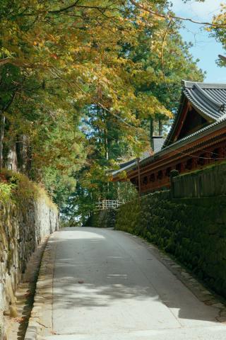 新品)Panasonic (パナソニック) LUMIX S9 広角ズームレンズキット DC