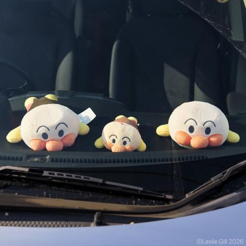 SIGMA DG 120-400mm F4.5-5.6 APO HSM ニコン 新品)Panasonic (パナソニック) LUMIX S5II ダブルレンズキット DC