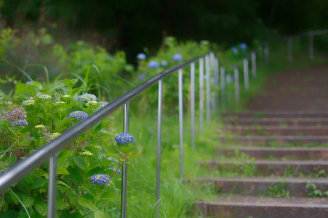 超美品！完動品＊pentax spf&f1.4★作例多数★初期保証付き！ 1-smc-PENTAX-M-50mm-F1.4-アイ