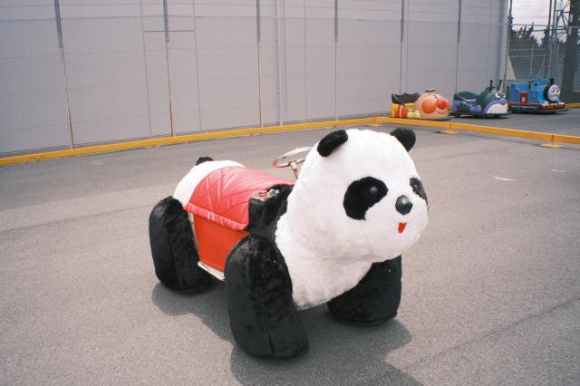 Everybody Photographer Com