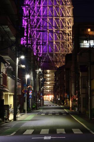 ★ Hanakikido★24-85mm F3.5-4.5G ED VR ☆ Hanakikido様専用☆24-85mm F3.5-4.5G ED VR