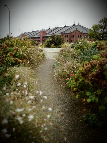 OLYMPUS DIGITAL ED 12-50mm f3.5-6.3 EZ+α l.jpg