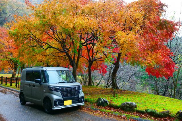 新品)SIGMA (シグマ) Art 35mm F1.4 DG DN (ライカSL/TL用)（商品ID 