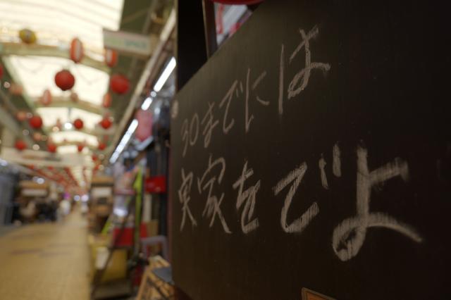 新品)Panasonic (パナソニック) LUMIX S9 高倍率ズームレンズキット DC