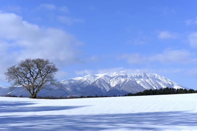 新品)Nikon (ニコン) Z50II 16-50 VR レンズキット（商品ID