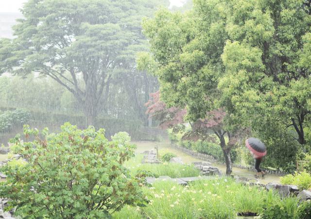 新品)OM SYSTEM（オーエムシステム） OM-5 14-150mm II レンズ