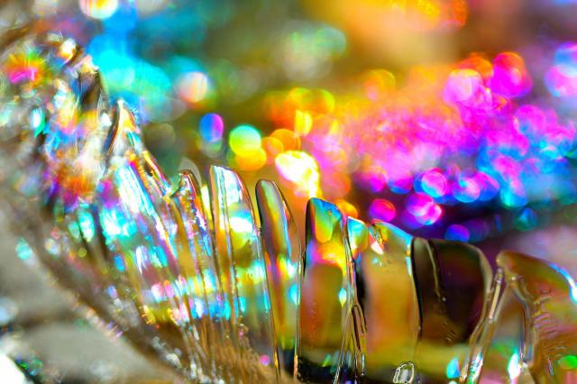 新品)Nikon (ニコン) D7500 ボディ（商品ID：4960759149084）詳細