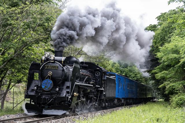 SL 蒸気機関車　函館本線①　朝里駅付近　((さよならC62  6枚セット 50年前へタイムスリップ さよならC62重連運転 1972.08.27 小樽駅