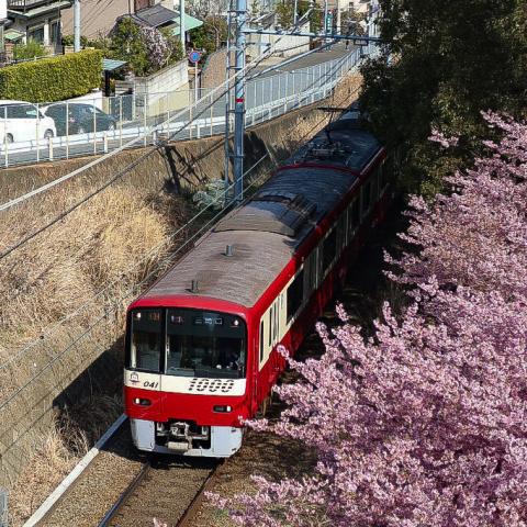 新品)Canon (キヤノン) EOS R6 Mark II RF24-105 IS STMレンズキット