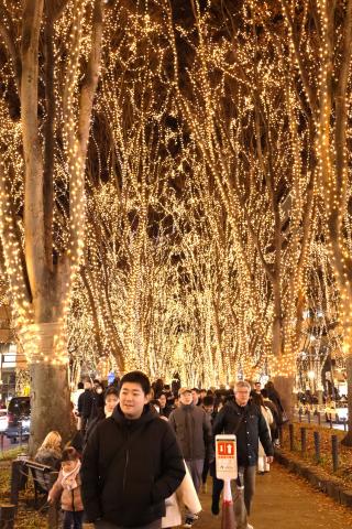 【軽量望遠レンズ】Canon EF-S 18-200mm F3.5-5.6 IS 新品)Canon (キヤノン) EOS R6 Mark II RF24-105 IS STMレンズキット