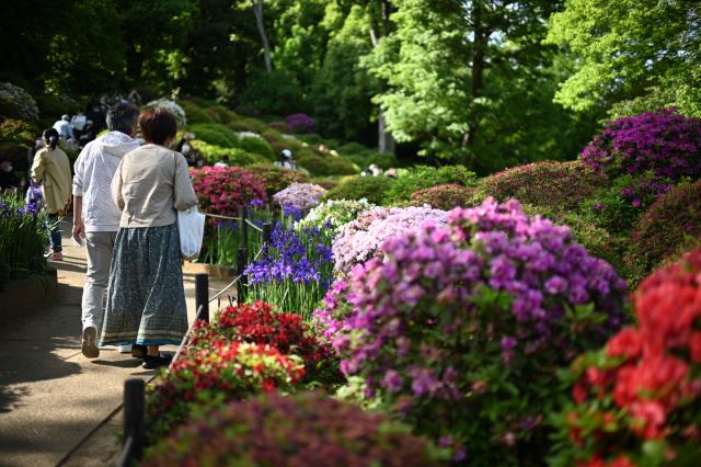フォクトレンダー Voigtlander nokton 40mm f1.4 sc