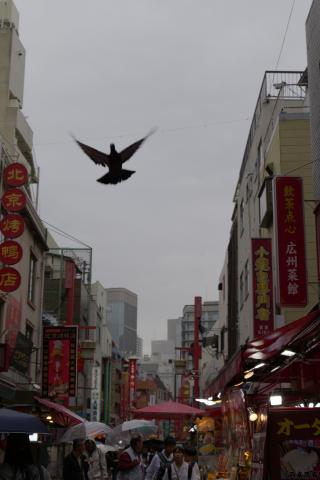 新品)Panasonic (パナソニック) LUMIX S9 広角ズームレンズキット DC