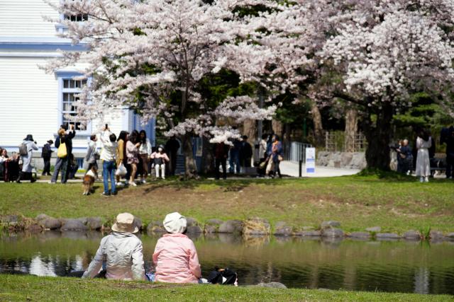 レンズ(ズーム) Canon RF 100-400mm F5.6-8 IS USM Kenko」の商品検索結果 | デジタルカメラ、ミラーレスカメラ
