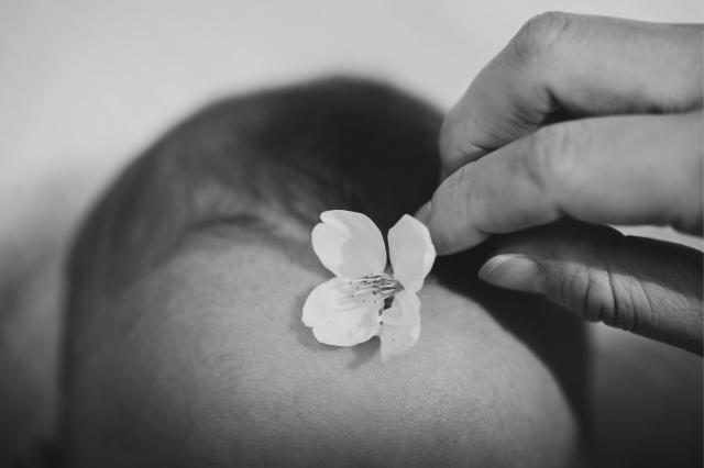 rf100-400mm f5.6-8 is usm、保護フィルター、レンズフード 新品)SIGMA (シグマ) Art 105mm F2.8 DG DN MACRO (ライカSL/TL