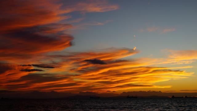 も*ん様 業者買取品！高級絵画！海 夕日 絵画買取】長年の経験