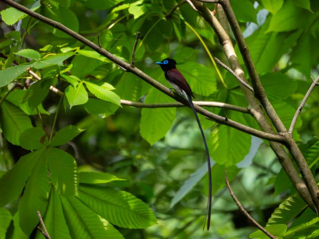 動作品　キャノン Canon EF-S 18-200mm F3.5-5.6 IS 新品)OM SYSTEM（オーエムシステム） OM-5 14-150mm II レンズ