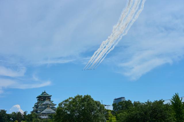 ニコン NIKKOR Z DX 50-250mm f/4.5-6.3 VR ◇引取り限定！！◇東海アルコック アルミ・ブリッジ 2本セット