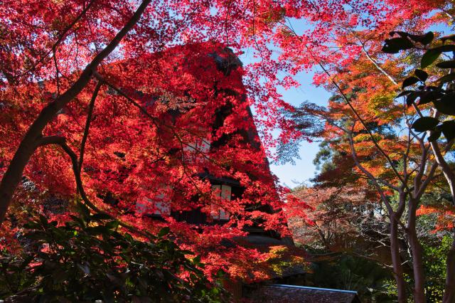 新品)FUJIFILM (フジフイルム) X-M5 XC15-45mmレンズキット シルバー