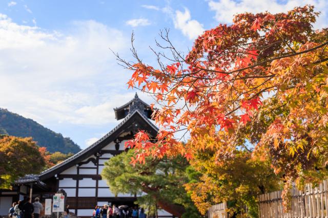 キャノン Canon RF100-400mm F5.6-8 IS USM 未使用 楽天市場】ﾆｺﾝ(Nikon)Z 600mm F4 TC VR S レンズカバー レンズオーク