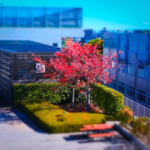 新品)FUJIFILM (フジフイルム) X-S10 XF18-55mmレンズキット ブラック 新品)FUJIFILM (フジフイルム) X-S10 XF18-55mmレンズキット ブラック