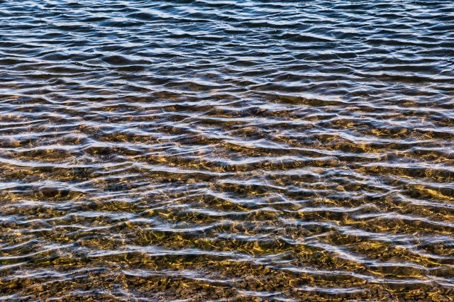 新品)SIGMA (シグマ) Contemporary 20-200mm F3.5-6.3 DG (ライカSL/TL