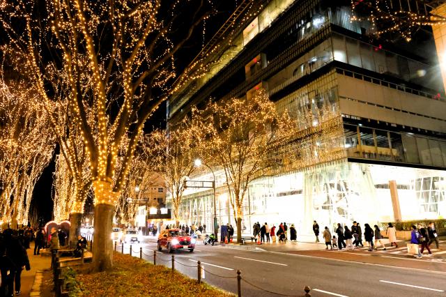 新品)Canon (キヤノン) EOS R6 Mark II RF24-105 IS STMレンズキット