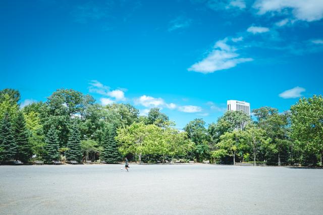 カメラ レンズ(単焦点) 新品)SONY (ソニー) Sonnar T* FE 35mm F2.8 ZA SEL35F28Z（商品ID 