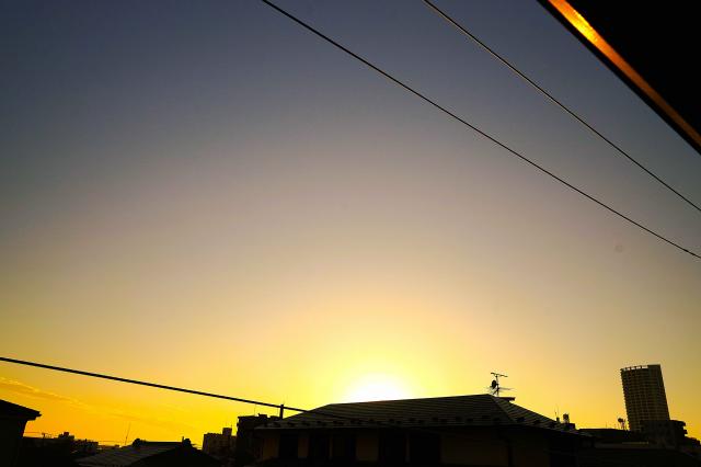 新品)SONY (ソニー) Vario-Tessar T* FE 24-70mm F4 ZA OSS SEL2470Z