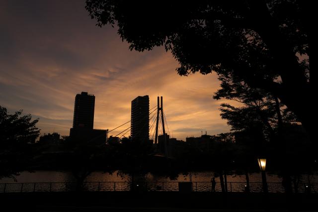 新品)Canon (キヤノン) RF24-50mm F4.5-6.3 IS STM（商品ID