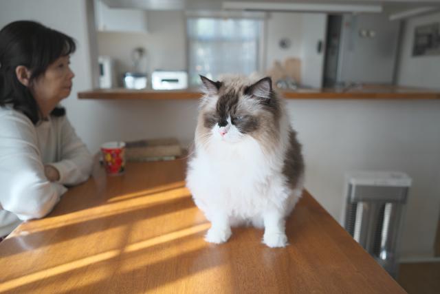 新品)Carl Zeiss (カールツァイス) Batis 25mm F2（ソニーE用