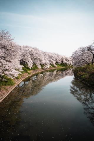 新品)Carl Zeiss (カールツァイス) Batis 25mm F2（ソニーE用